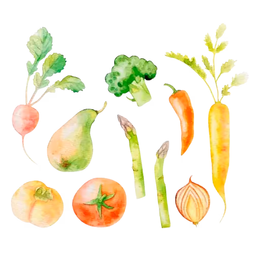Fresh vegetables